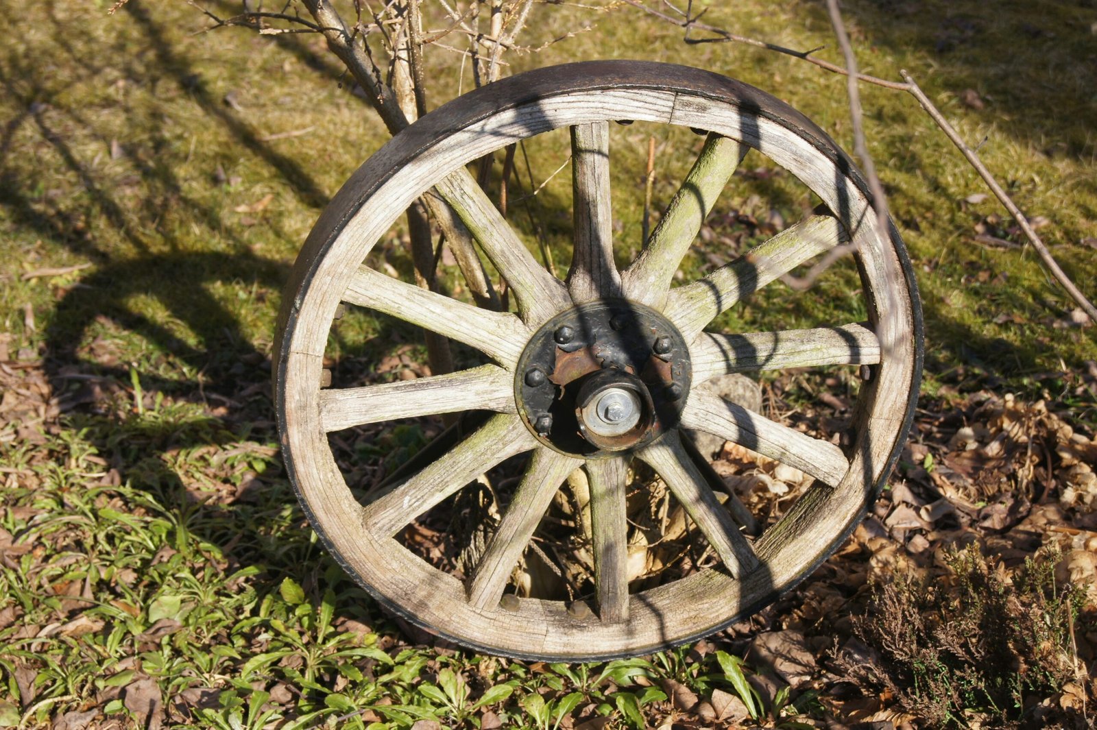 a wheel on the ground