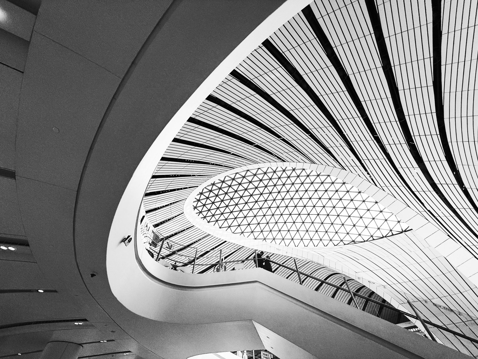 Modern architectural interior with curved lines and patterns.
