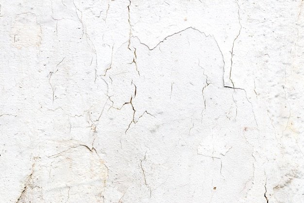 Light Gray Stucco Wall Texture Abstract Background