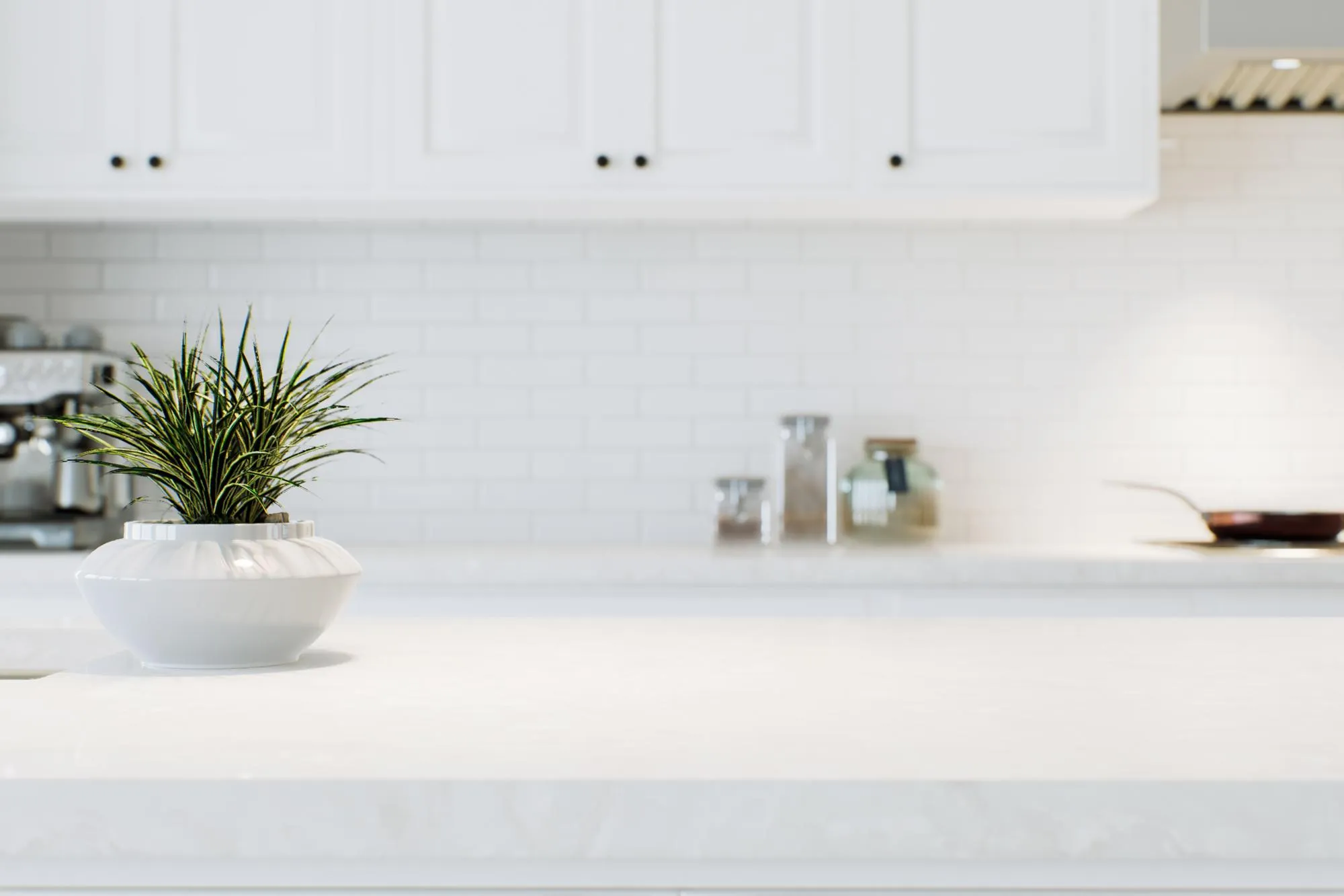 Modern white kitchen countertop with indoor plants