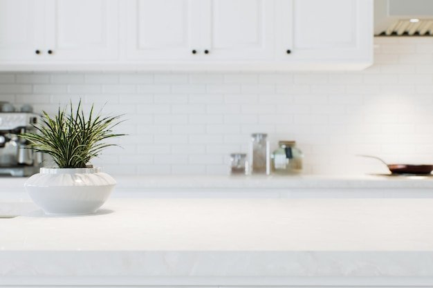 Modern white kitchen countertop with indoor plants
