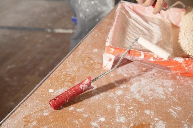 Paint roller in tray with paint