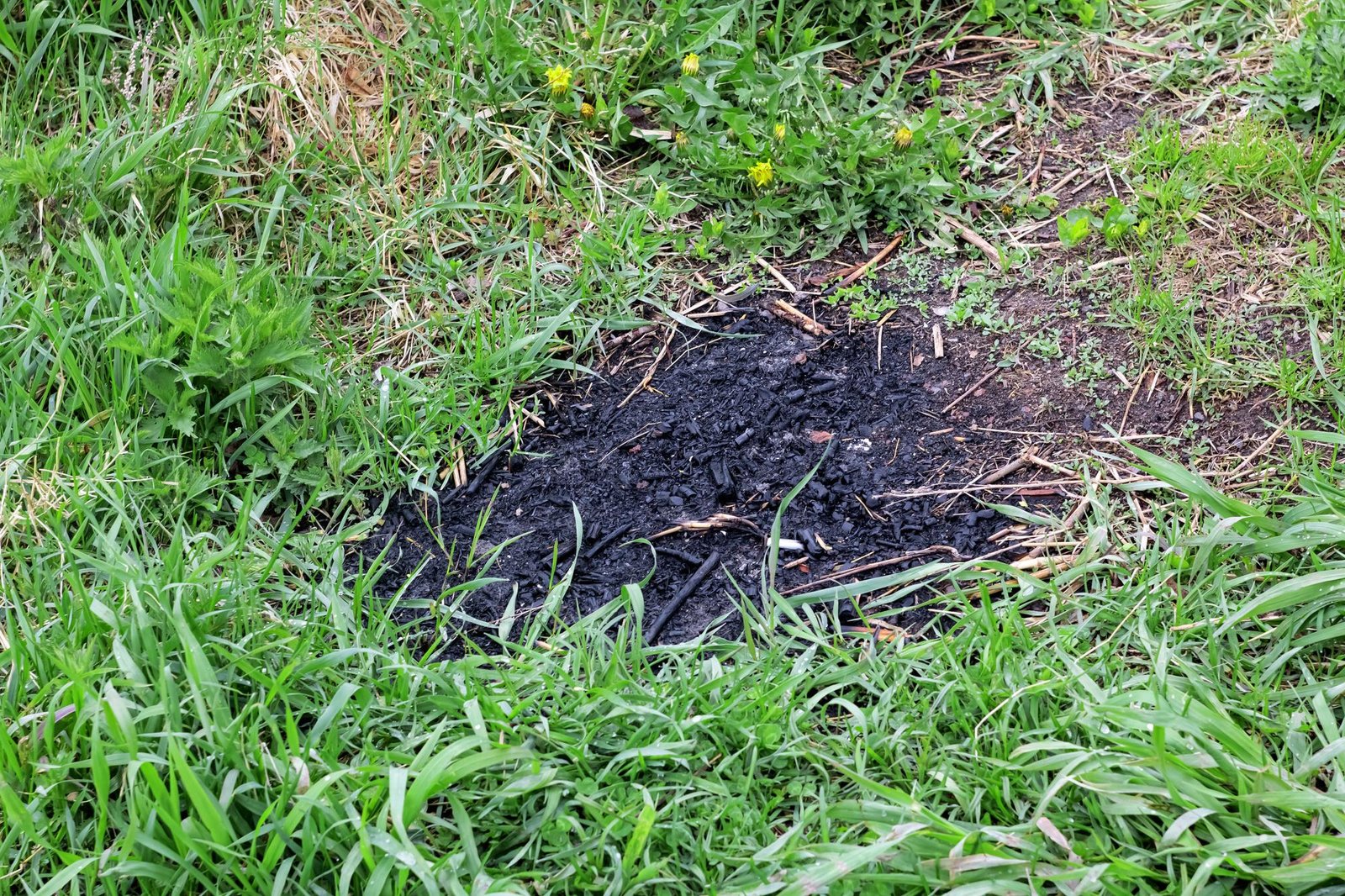 Trail of the fire on the green grass