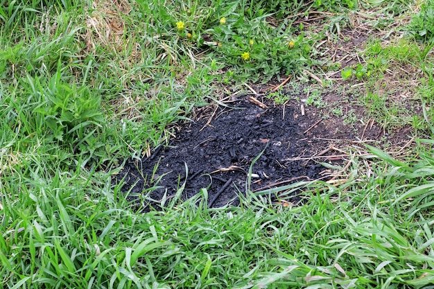 Trail of the fire on the green grass