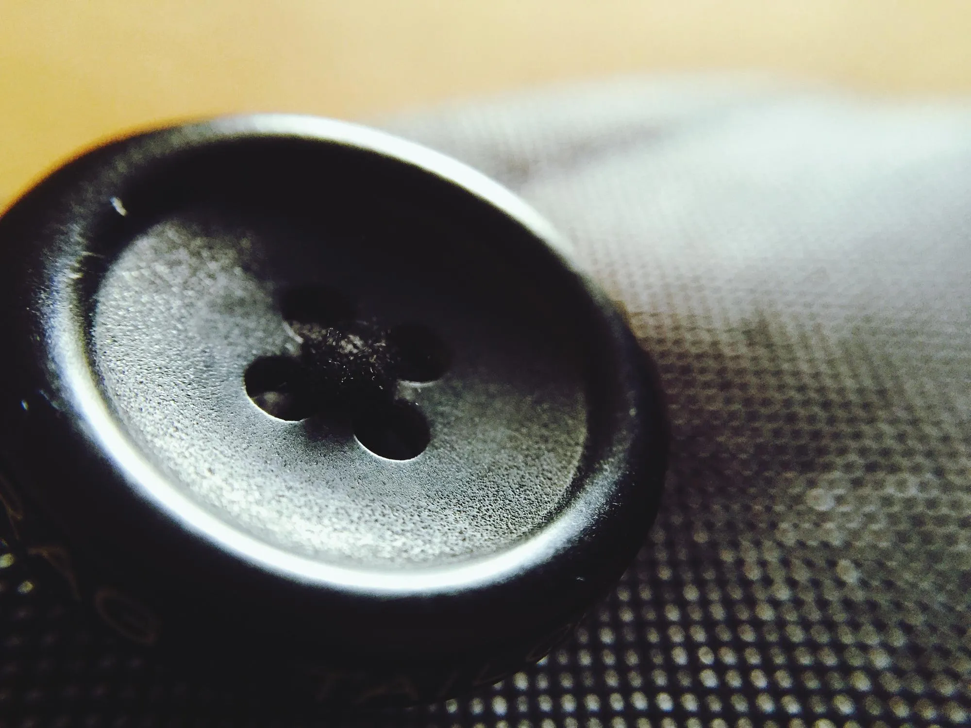 Close-up of food in bowl