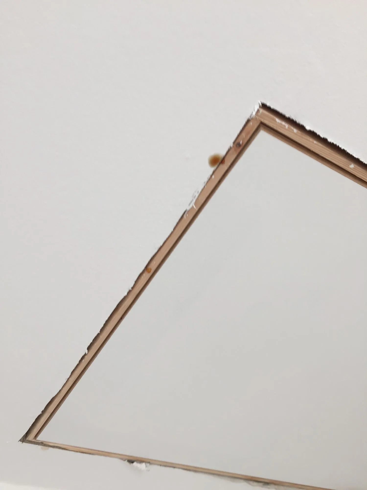 High angle view of paper against white background