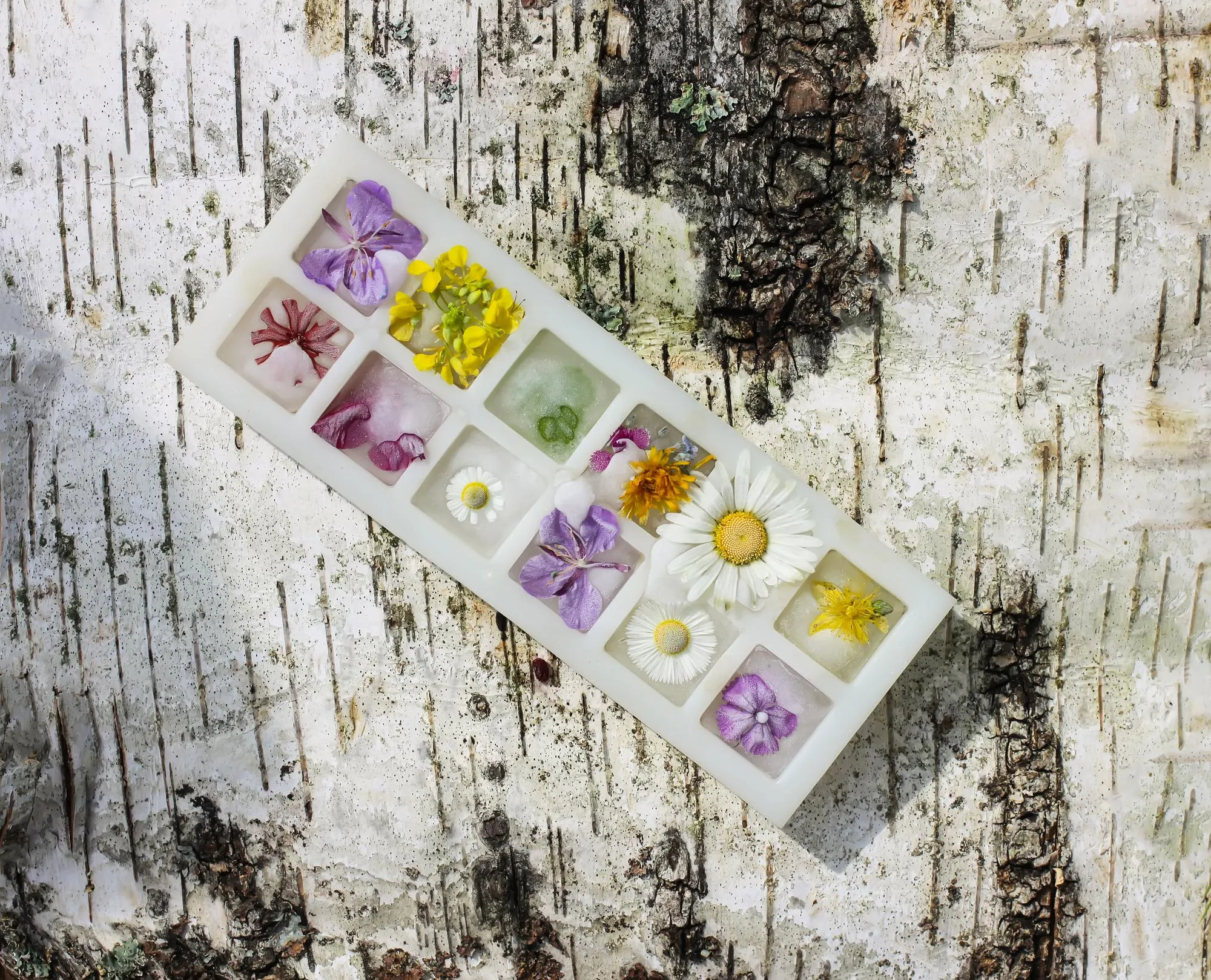 Ice cube with different summer flowers on green grass at summer.