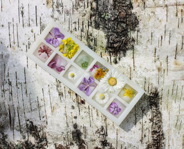 Ice cube with different summer flowers on green grass at summer.