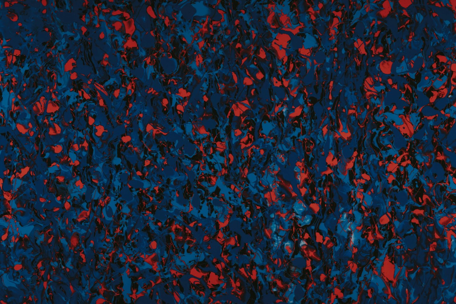 red and black floral textile
