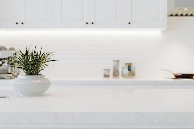 Modern white kitchen countertop with indoor plants