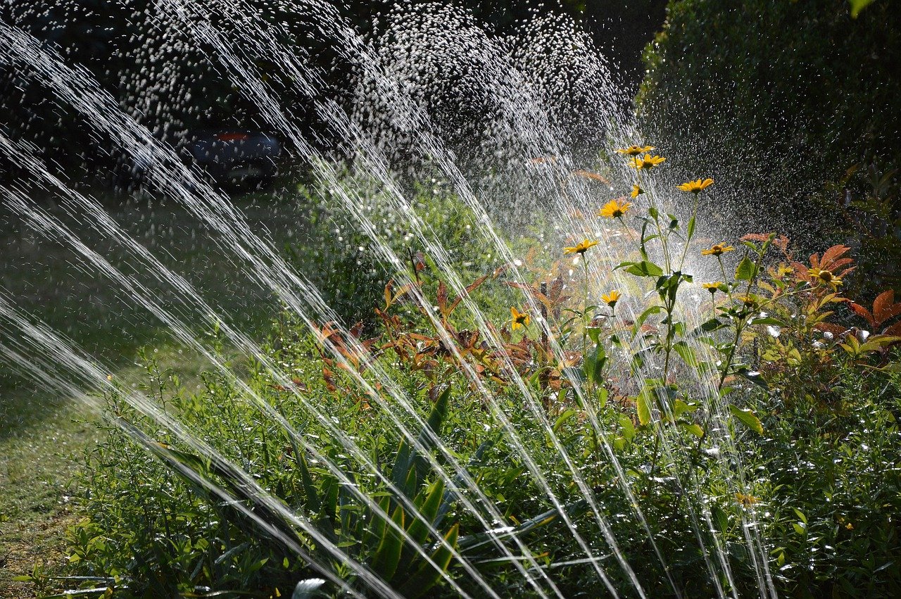 garden, irrigation, water, sprinkler, waterdrop, artificially, nature, splash