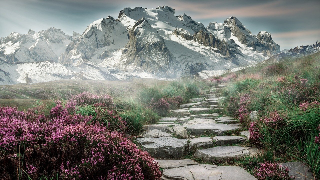 mountain landscape, steps, stones, stone stairs, path, trail, alps, alpine, peak, summit, wildflowers, fields, meadows, fog, foggy, haze, mist, misty, mountains, landscape, nature, mountain hiking, mountain peaks, staircase, snow mountains, stairs, away, mountains, mountains, landscape, nature, nature, nature, nature, nature