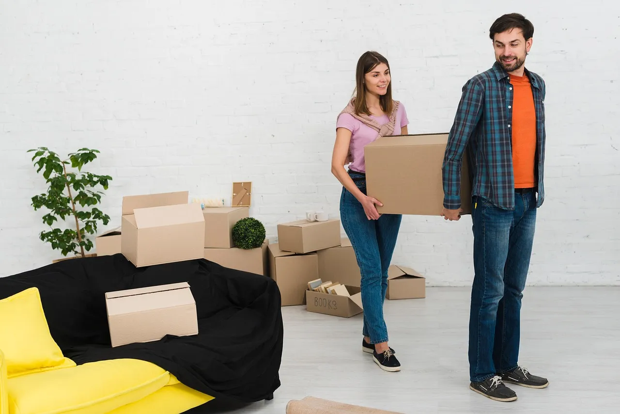 moving, apartment, packing, packers and movers, kankarbagh, india, moving, moving, moving, moving, moving