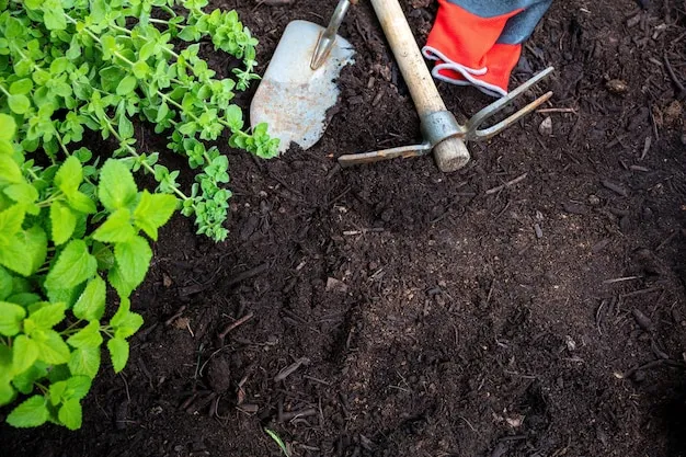 Garden tool and herb plant on soil background copy space Agriculture and gardening