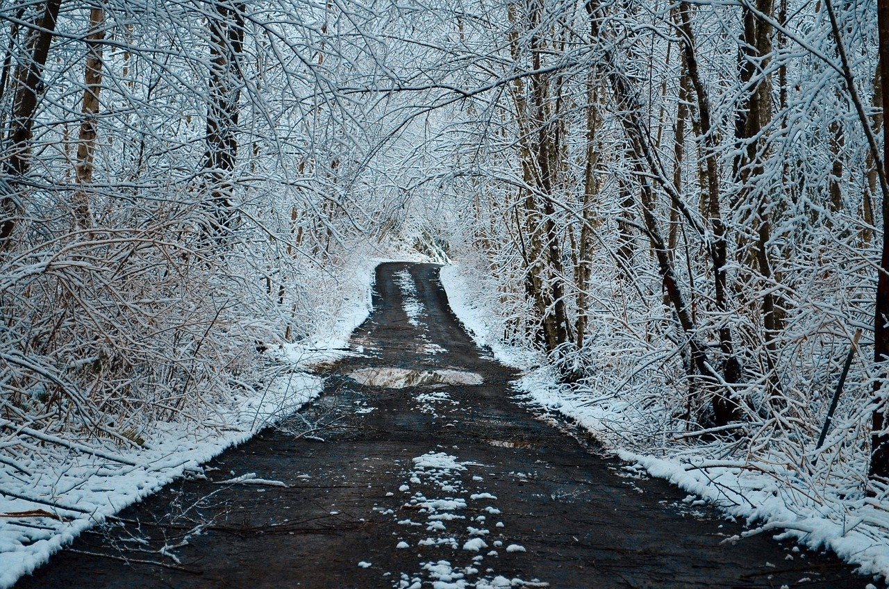 road, snow, forest, woods, trees, cold, snowy, driveway, path, winter, landscape, nature, aerial, snowfall, traffic, white, empty, spruce, bike, scenic, canada, outdoors, blue bike, blue path