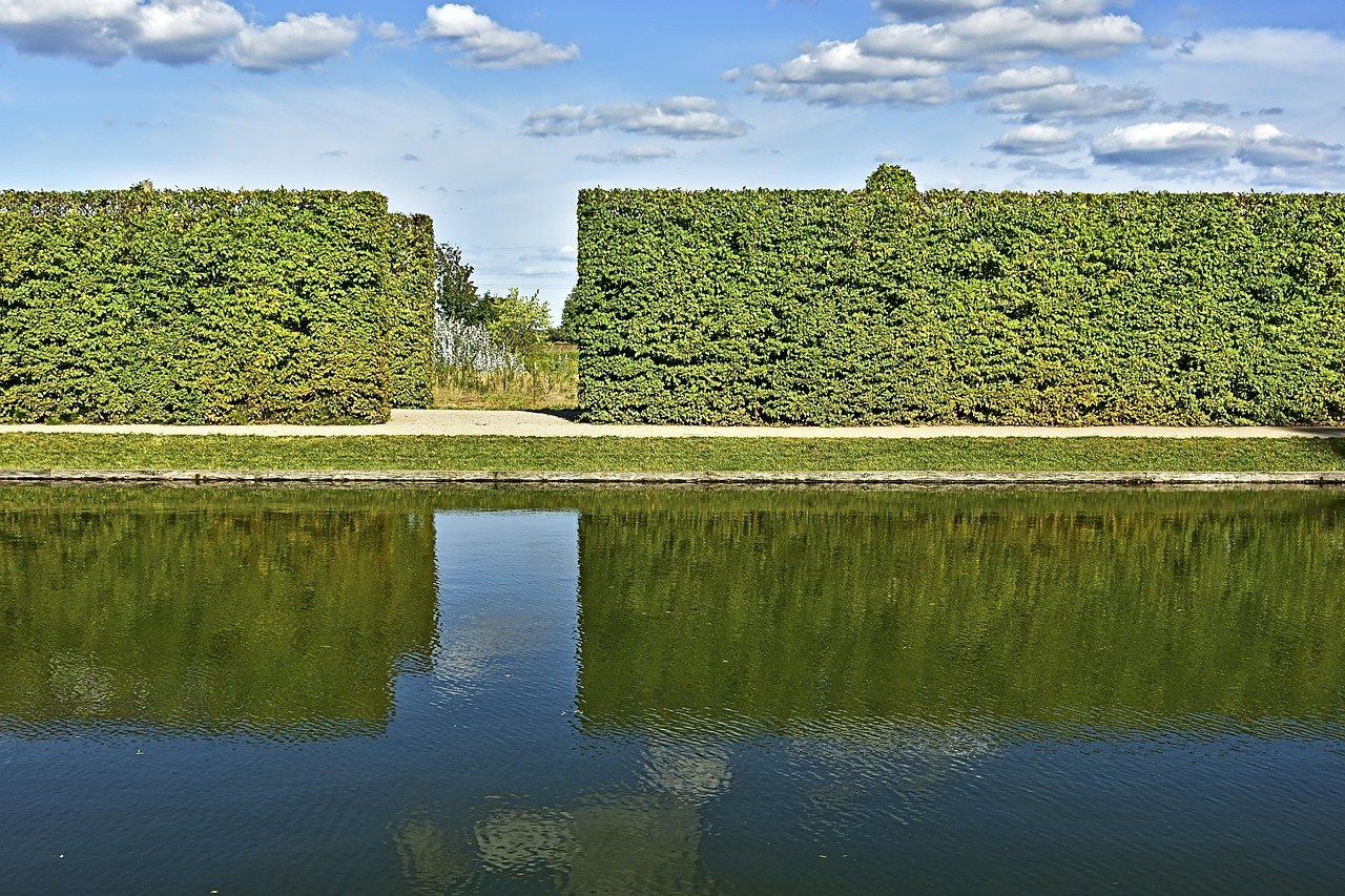 hedge, hornbeam, hornbeam hedge, water, nature, reflection, renaissance, monastery park, protection