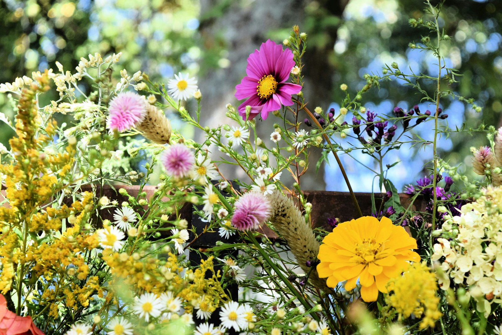 a bunch of flowers that are sitting in the grass