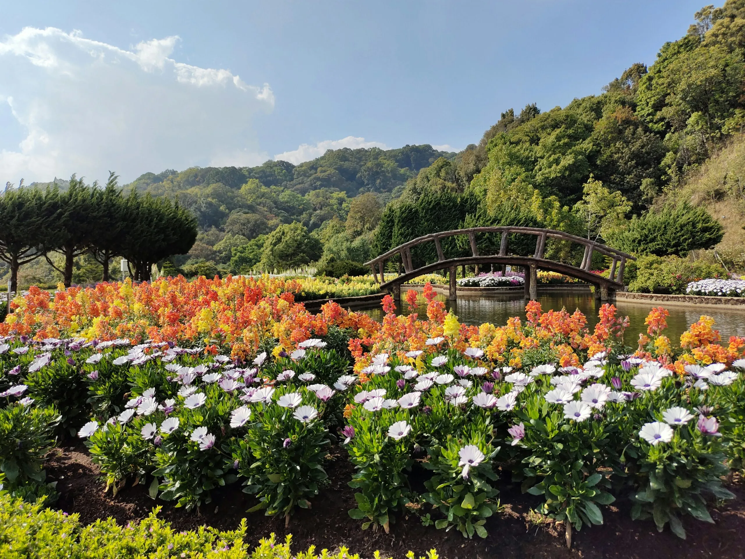 a bridge over a river surrounded by lots of flowers