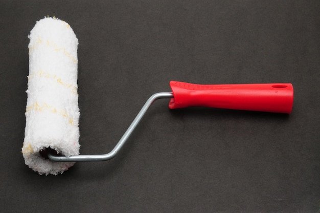 Painter roller for painting various surfaces