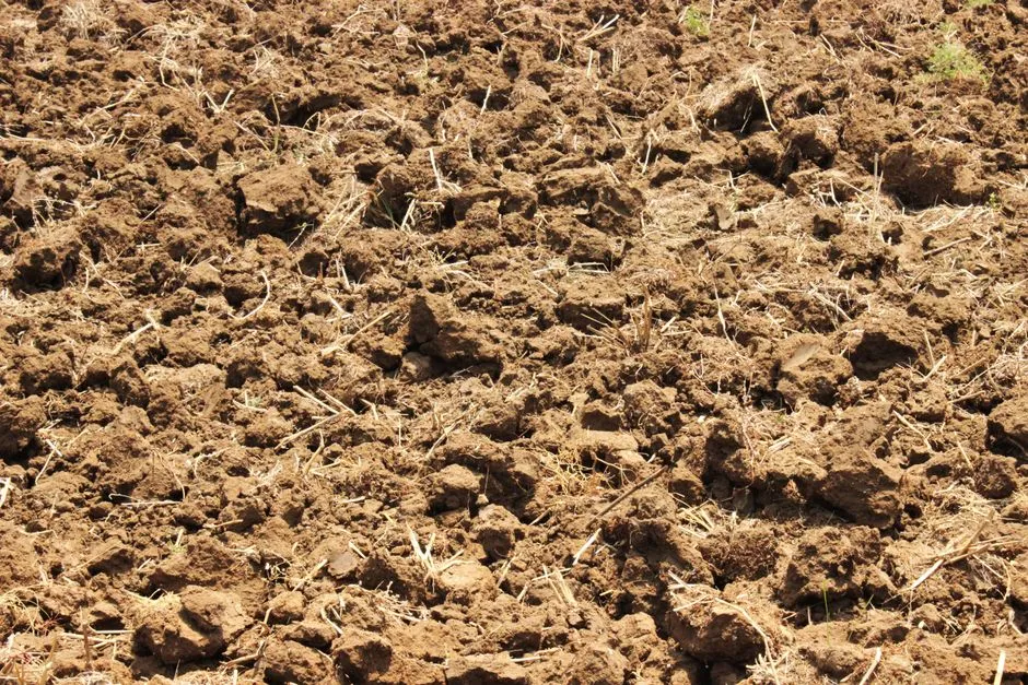 Close-up of dry, rough brown soil texture in a field in Madurai, India, ideal for agriculture and farming.