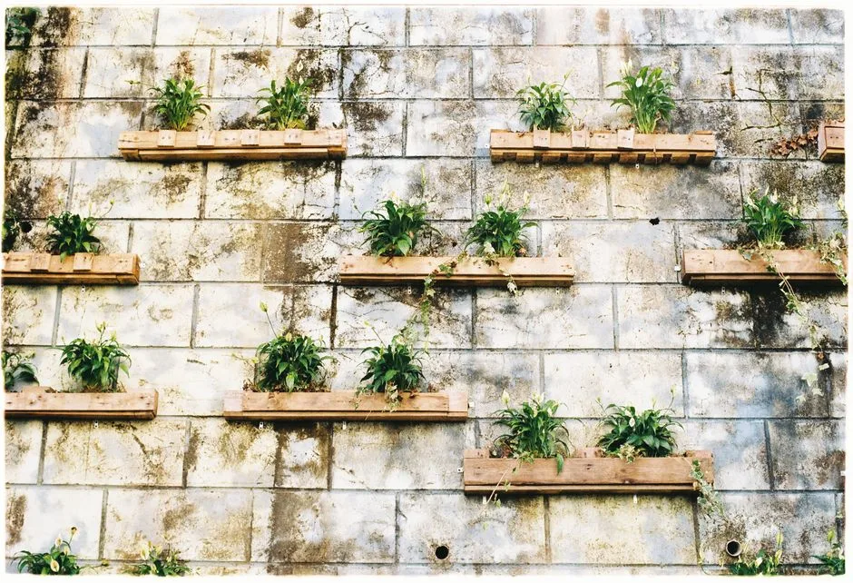 A vertical garden on a weathered concrete wall with wooden planters and green plants.