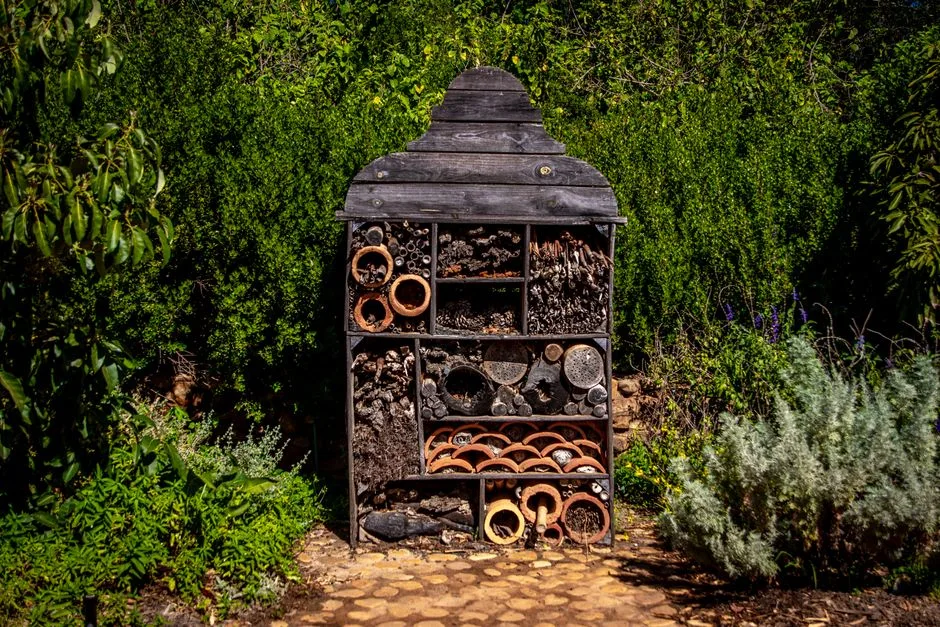 Wooden insect hotel surrounded by green plants in vibrant garden atmosphere, showcasing biodiversity.