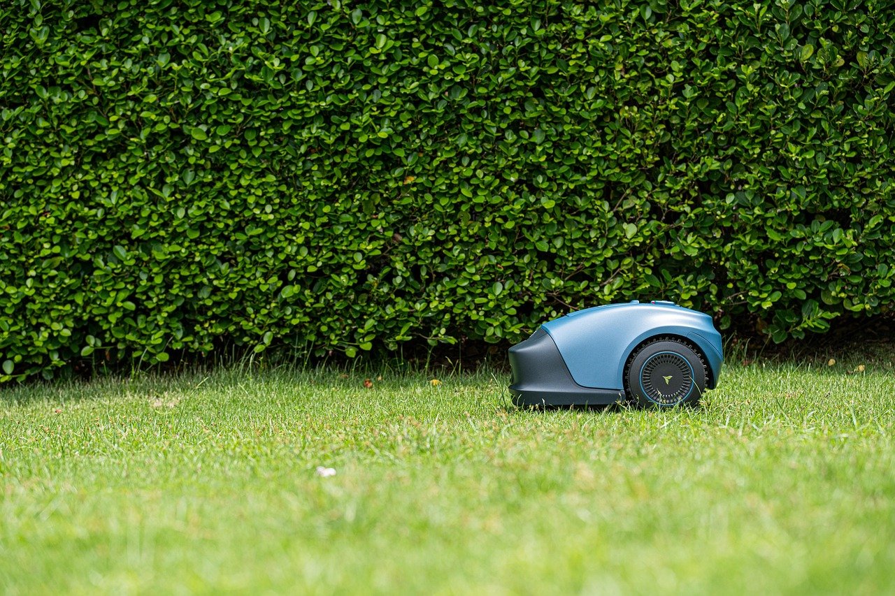 robot, nature, lawnmower, lawn, yard, grass, green, garden
