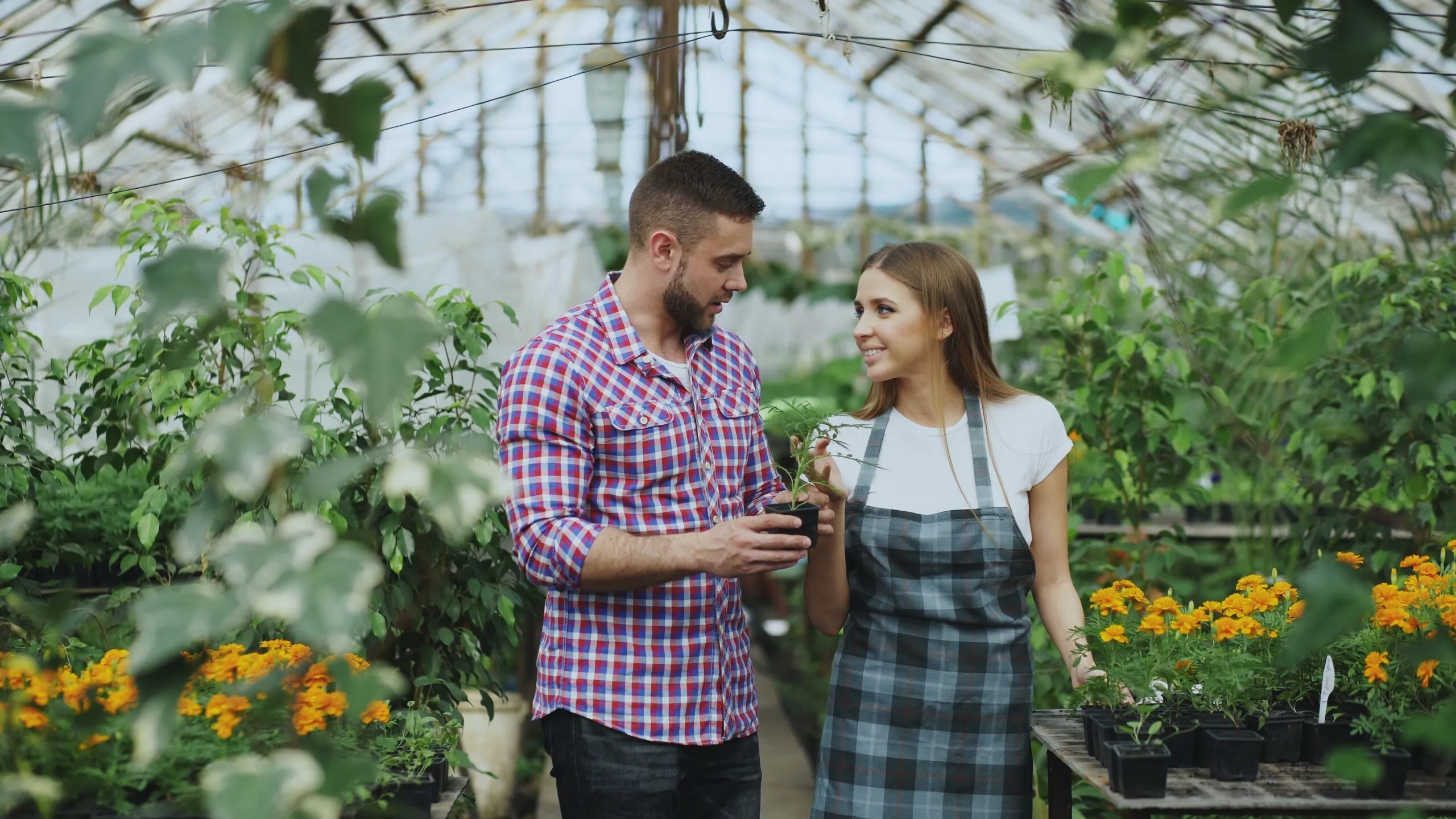 Smiling young couple tending plants inside a vibrant greenhouse filled with flowers.