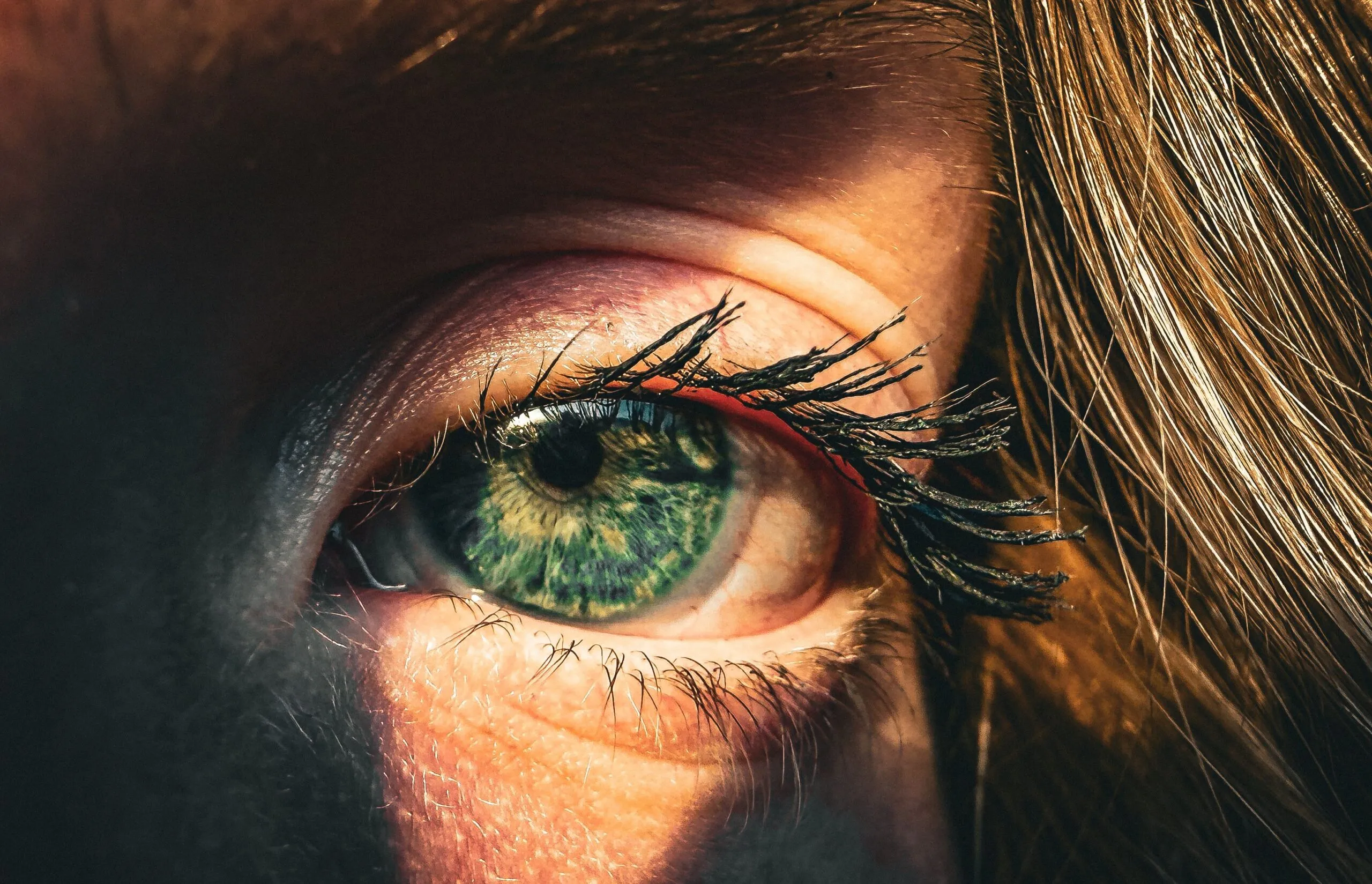 Vivid close-up of a green eye with prominent lashes, bathed in warm sunlight, creating a dramatic effect.