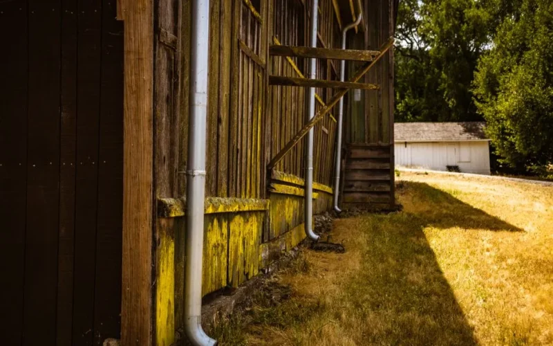 A rustic barn with rain gutters in a sunny rural setting, capturing rustic charm.