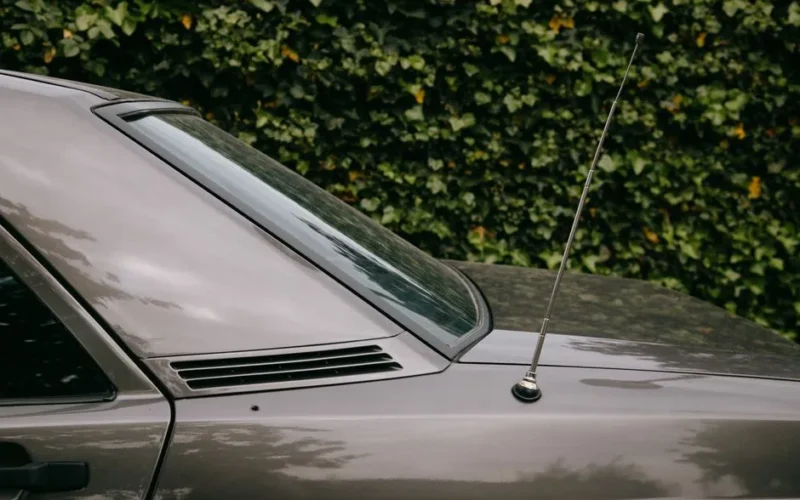 Posterior part of car with glossy surface and long thin antenna parked on street near tall green hedge