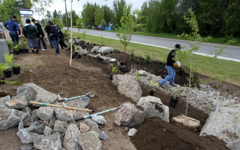 A rain garden being installed at the Palmer Senior Center in Southcentral Alaska with funding and the support/expertise of the U.S. Fish and Wildlife Service, Alaska Department of Environmental Conservation, U.S. Environmental Protection Agency, and Mat-Su Borough, Mat-Su Conservation Services, Mat-Su Senior Services, and lots of volunteers! Rain gardens are vegetated areas built specifically to manage stormwater runoff from driveways, sidewalks, roofs, and other paved surfaces. This one was designed by Sustainable Design Group to soak up 11,000+ cubic feet of water. Here, a youth baseball team helps with some heavy lifting. USFWS/Katrina Mueller