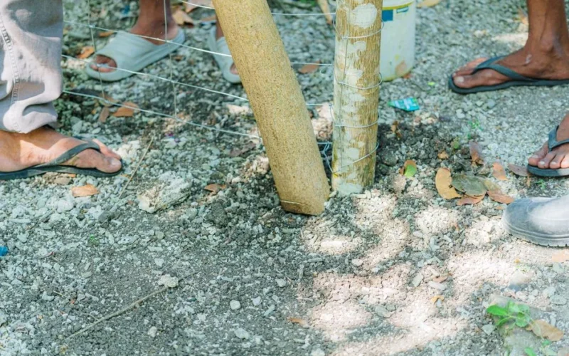 Workers installing a wooden fence post in a sunny outdoor area.